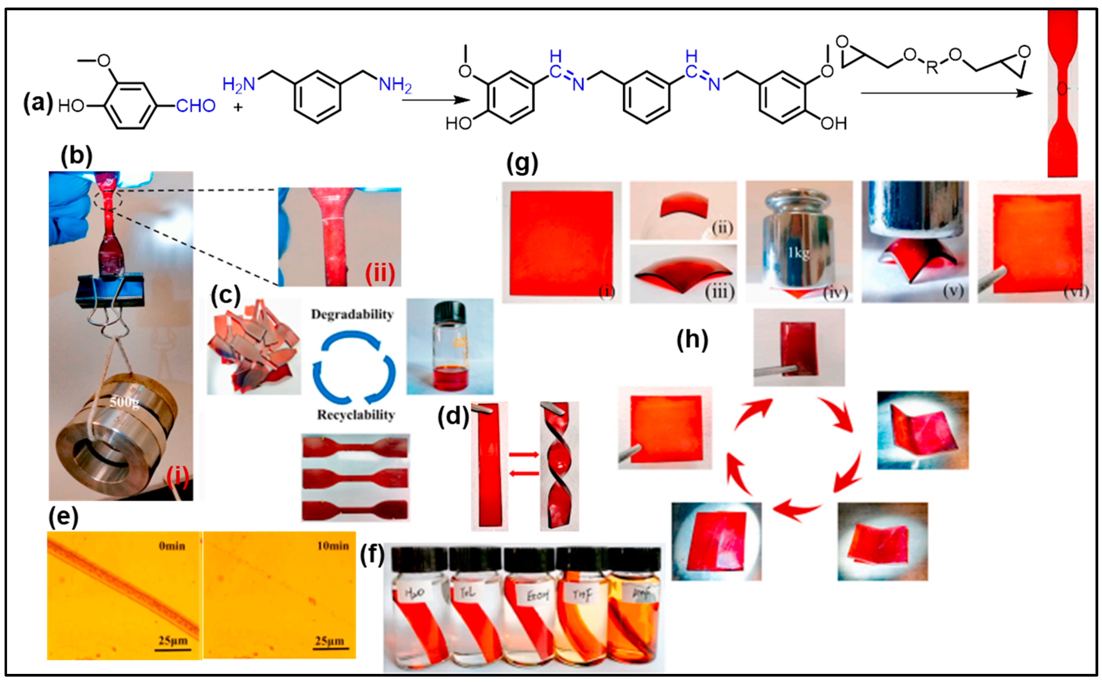 Reactions 04 00003 g014