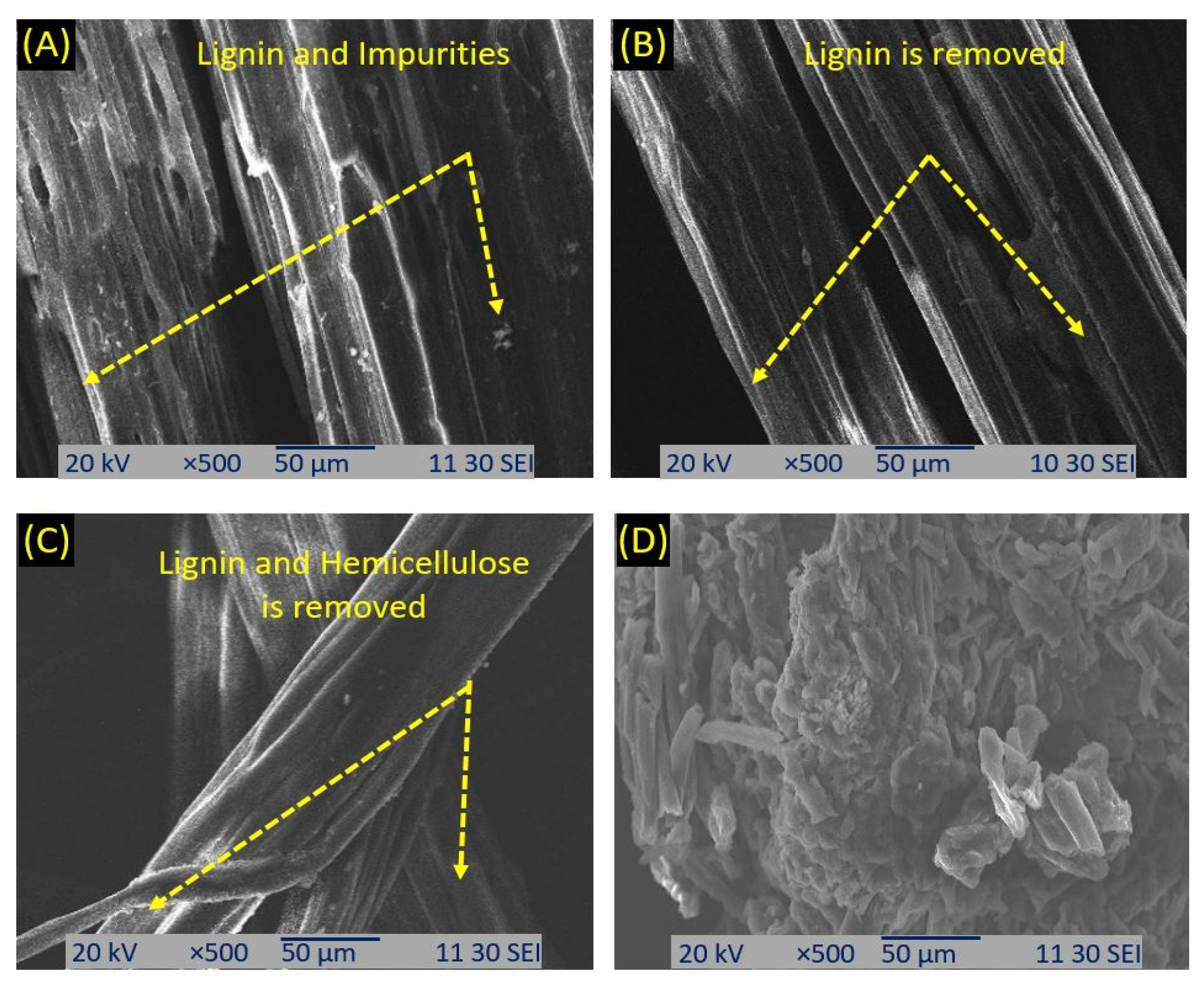 Reactions 04 00021 g006 Reactions 04 00021 g006