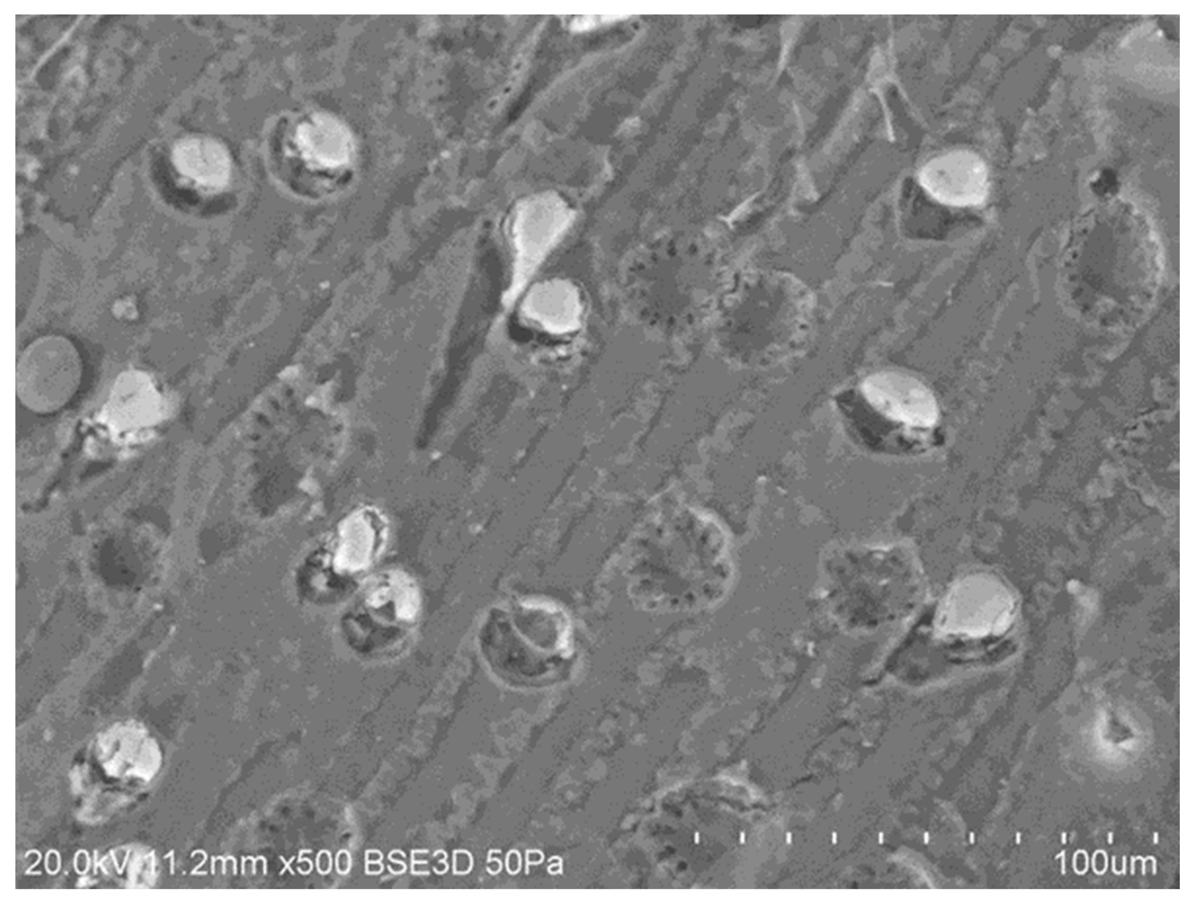 Reactions 05 00020 g006