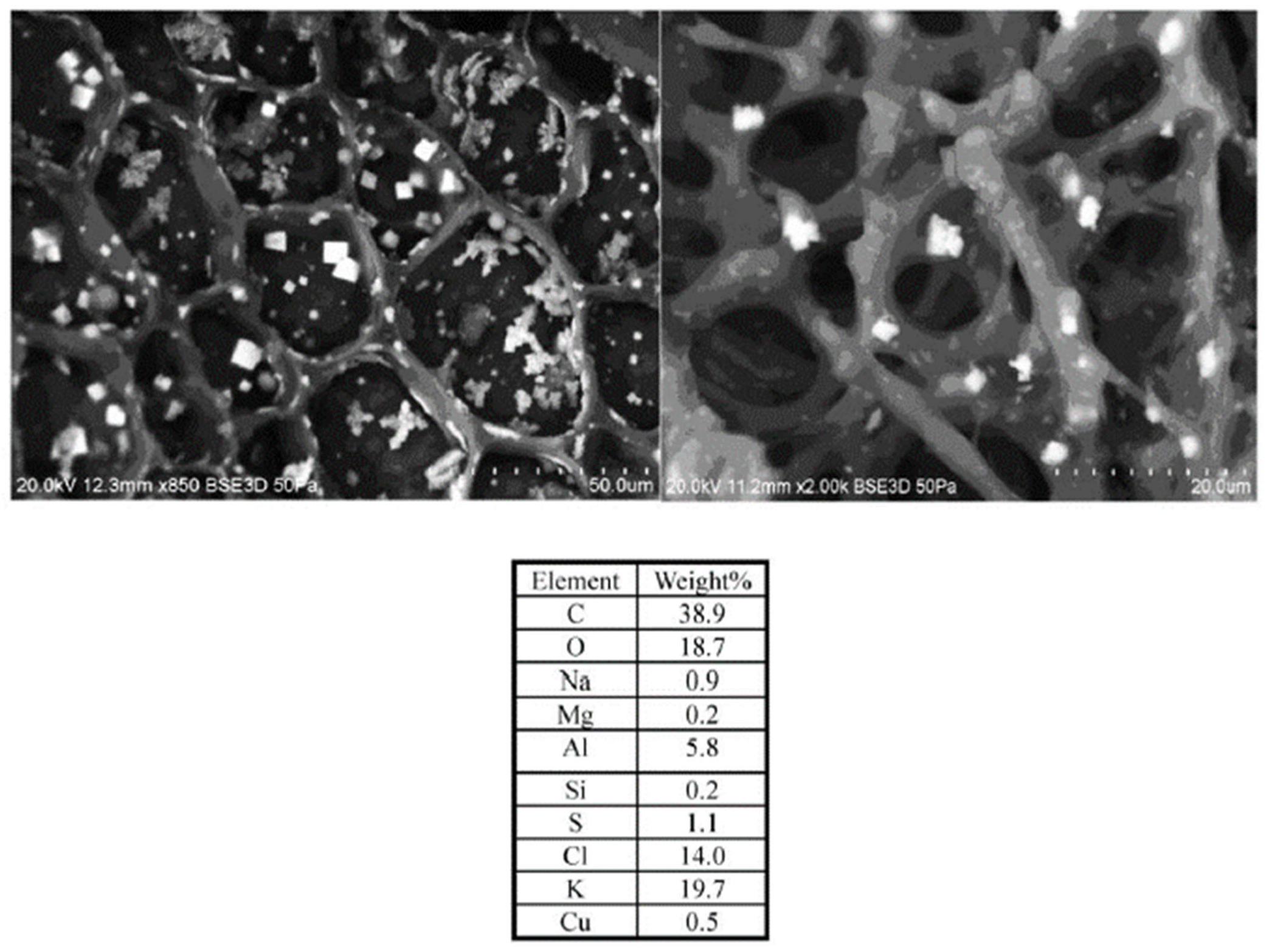 Reactions 05 00020 g008