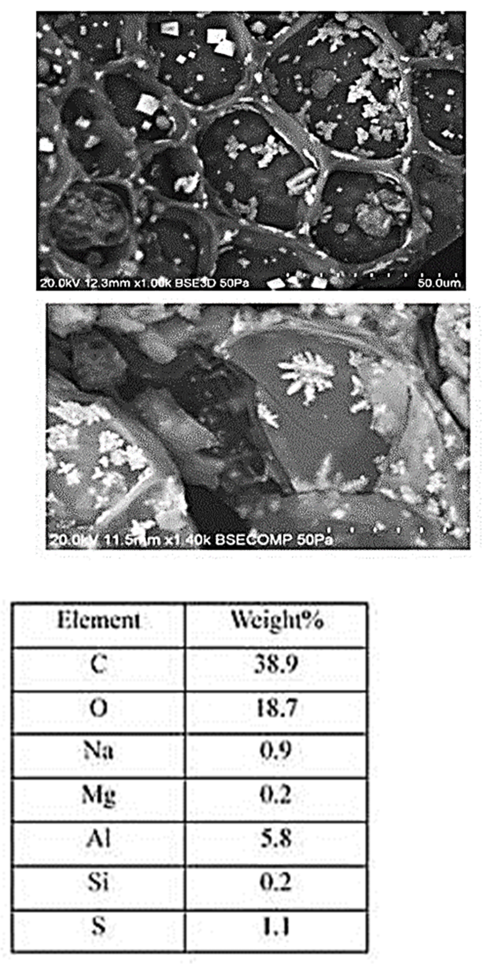 Reactions 05 00020 g012