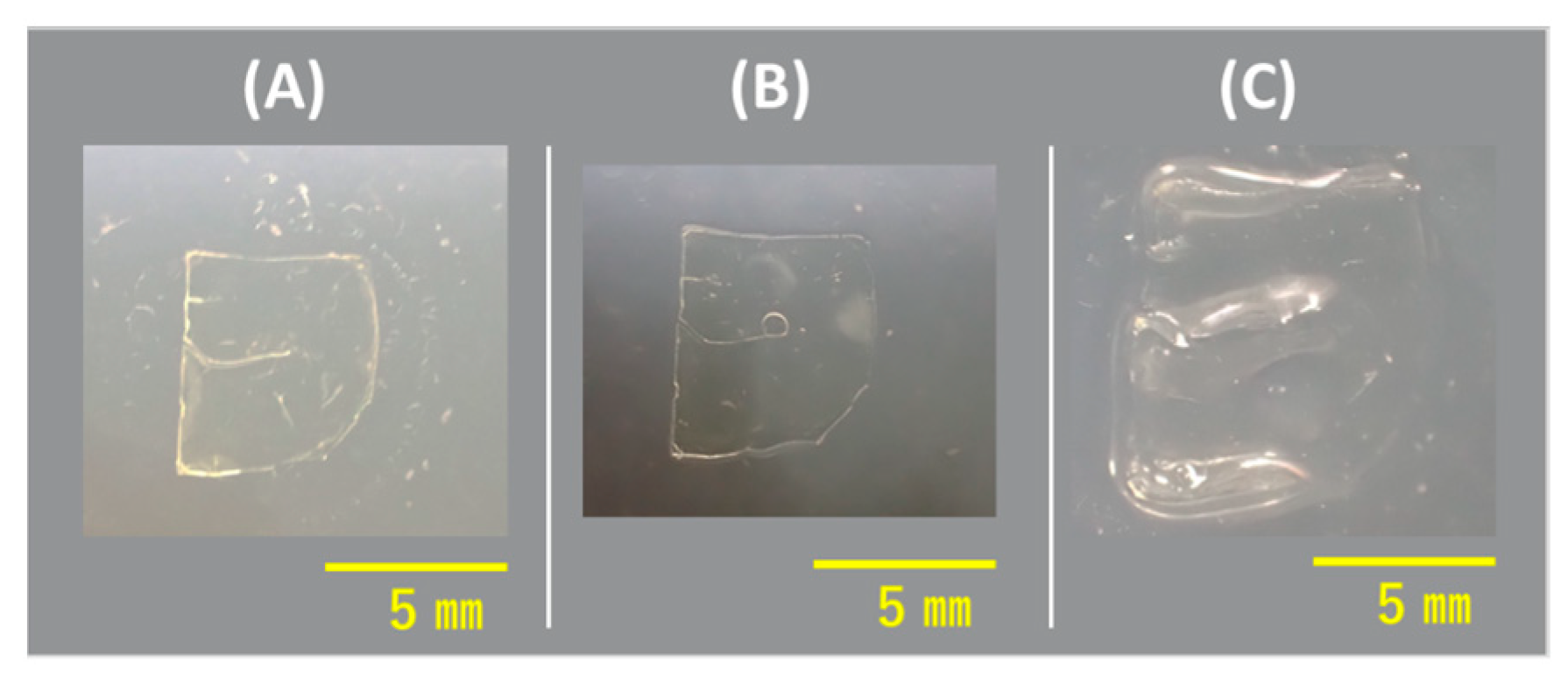 Reactions 05 00041 g002