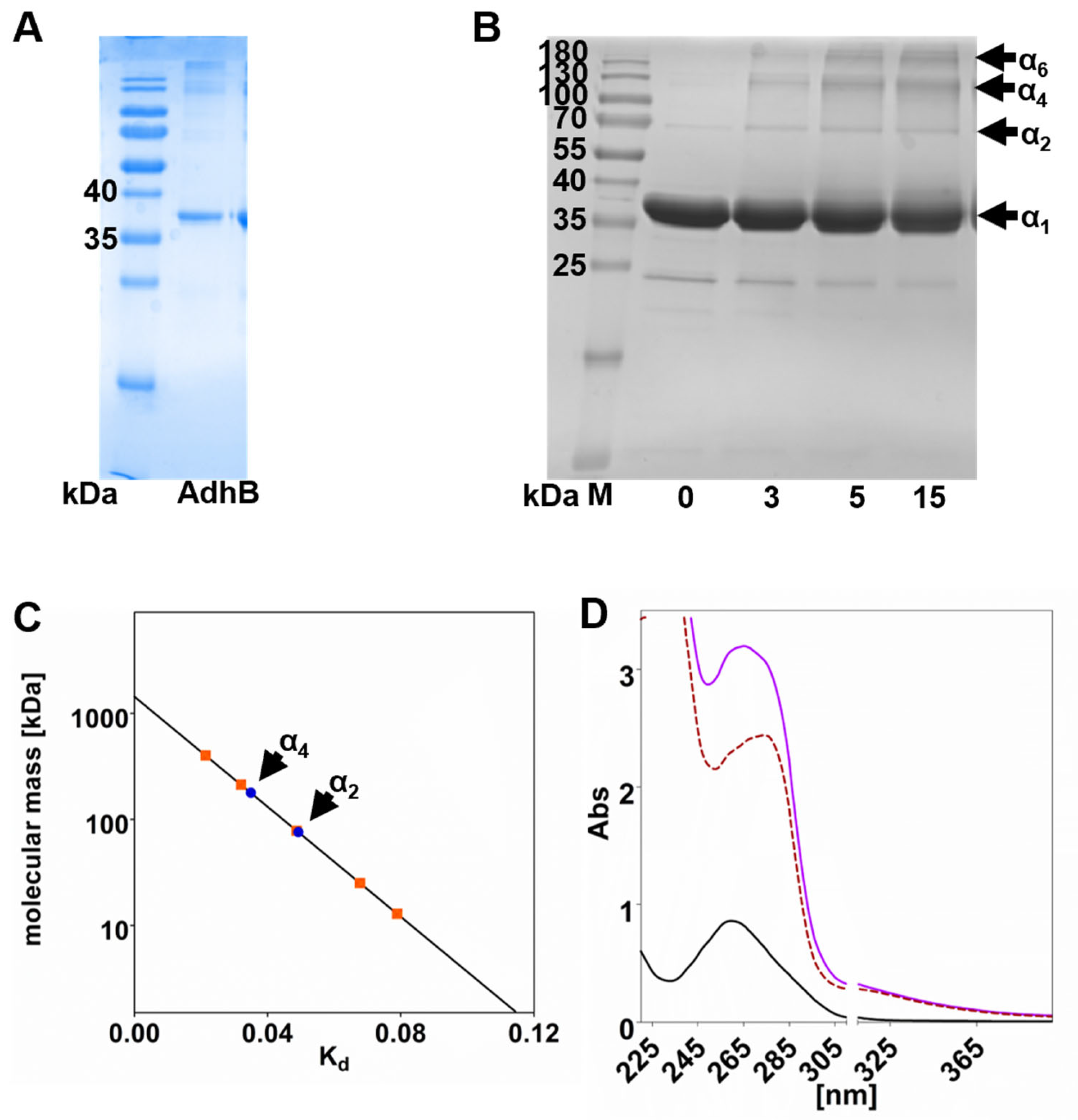 Reactions 06 00046 g001 Reactions 06 00046 g001