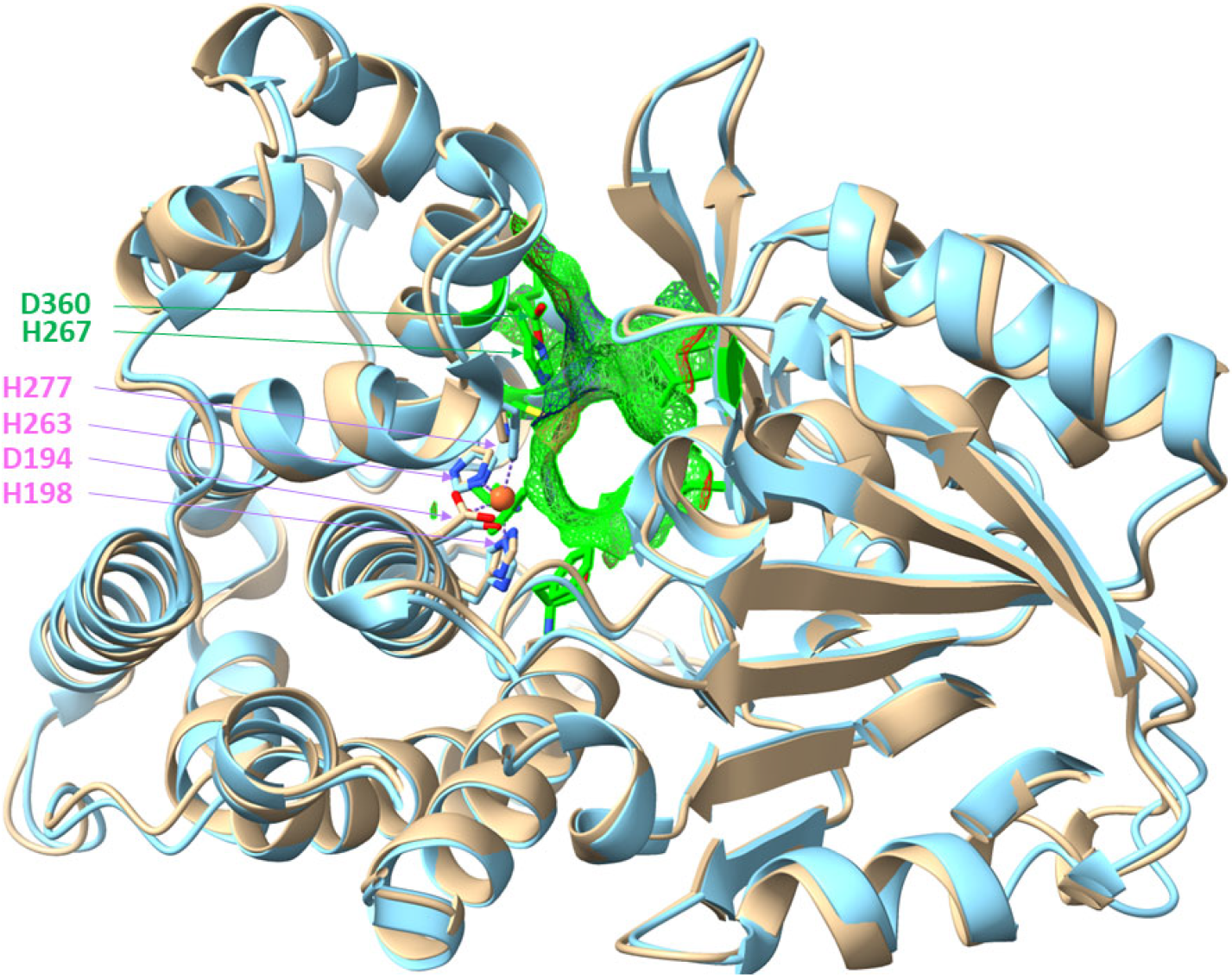 Reactions 06 00046 g007 Reactions 06 00046 g007