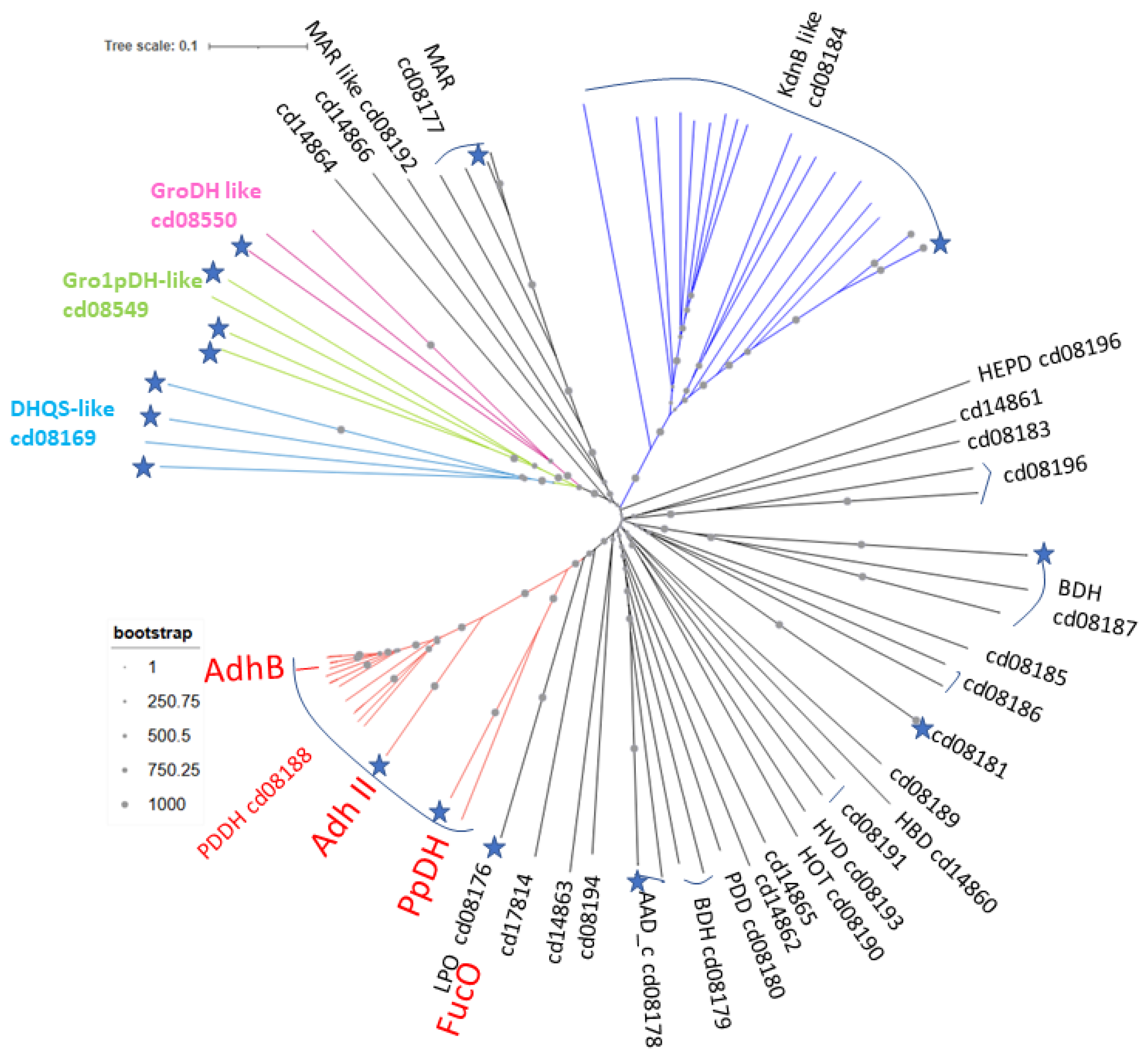 Reactions 06 00046 g008 Reactions 06 00046 g008