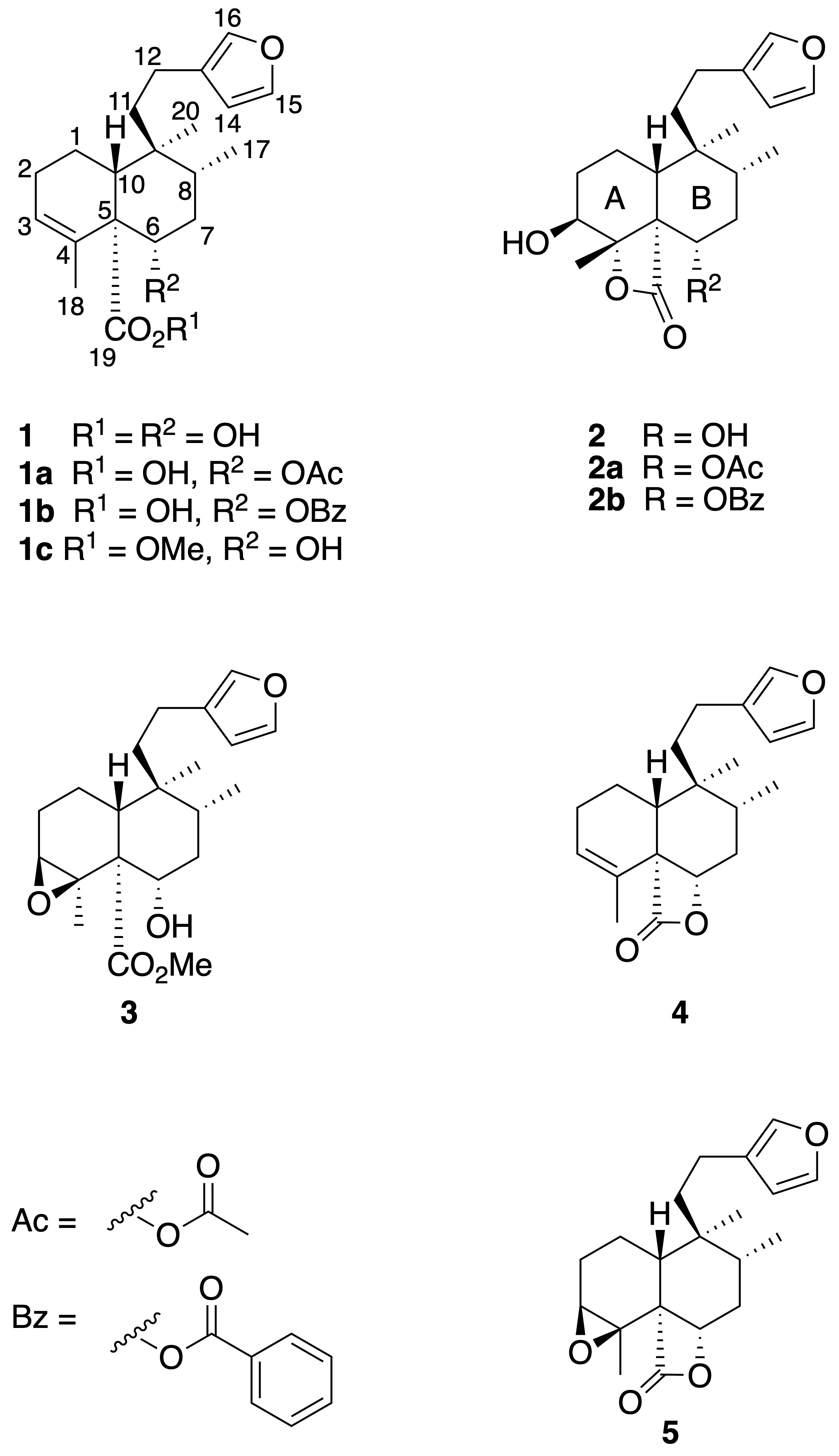 Reactions 06 00047 g001 Reactions 06 00047 g001