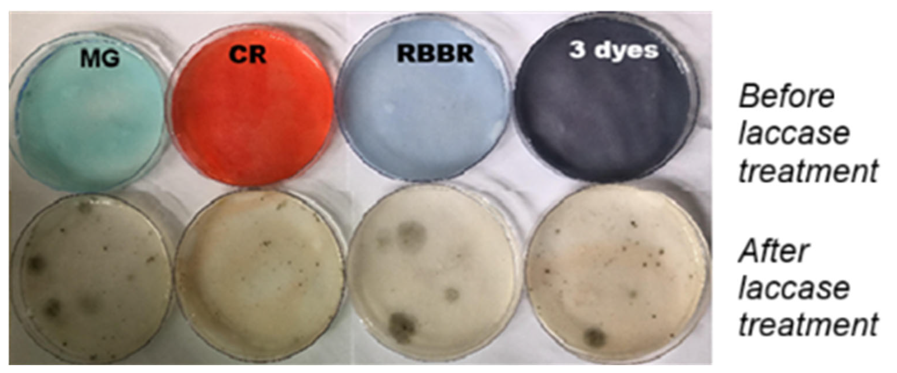 Reactions 06 00053 g007 Reactions 06 00053 g007