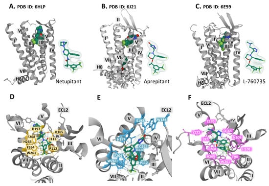 Receptors | Free Full-Text | The Neurokinin-1 Receptor: Structure Dynamics  and Signaling