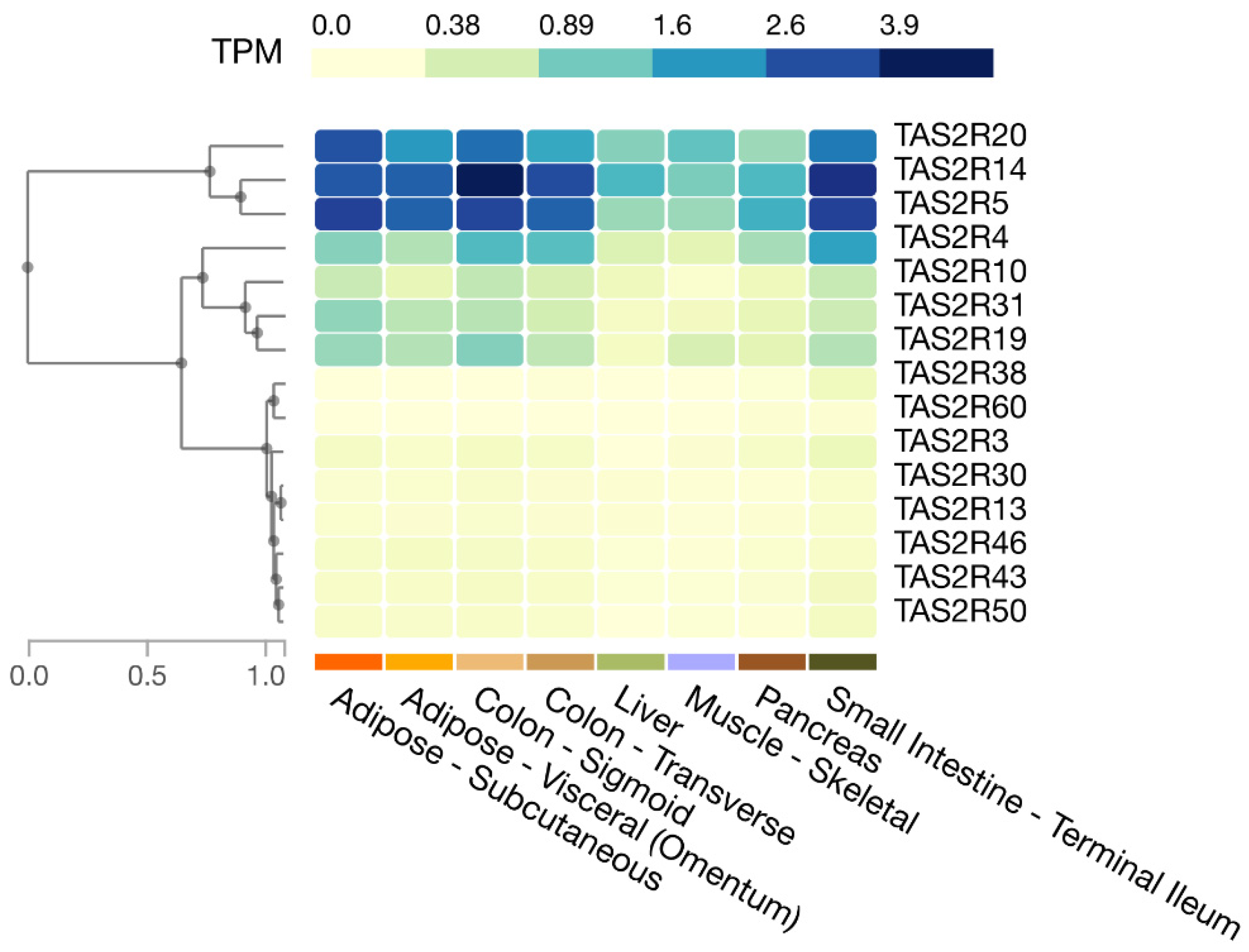 Receptors | Free Full-Text | Association of Bitter Taste Receptors