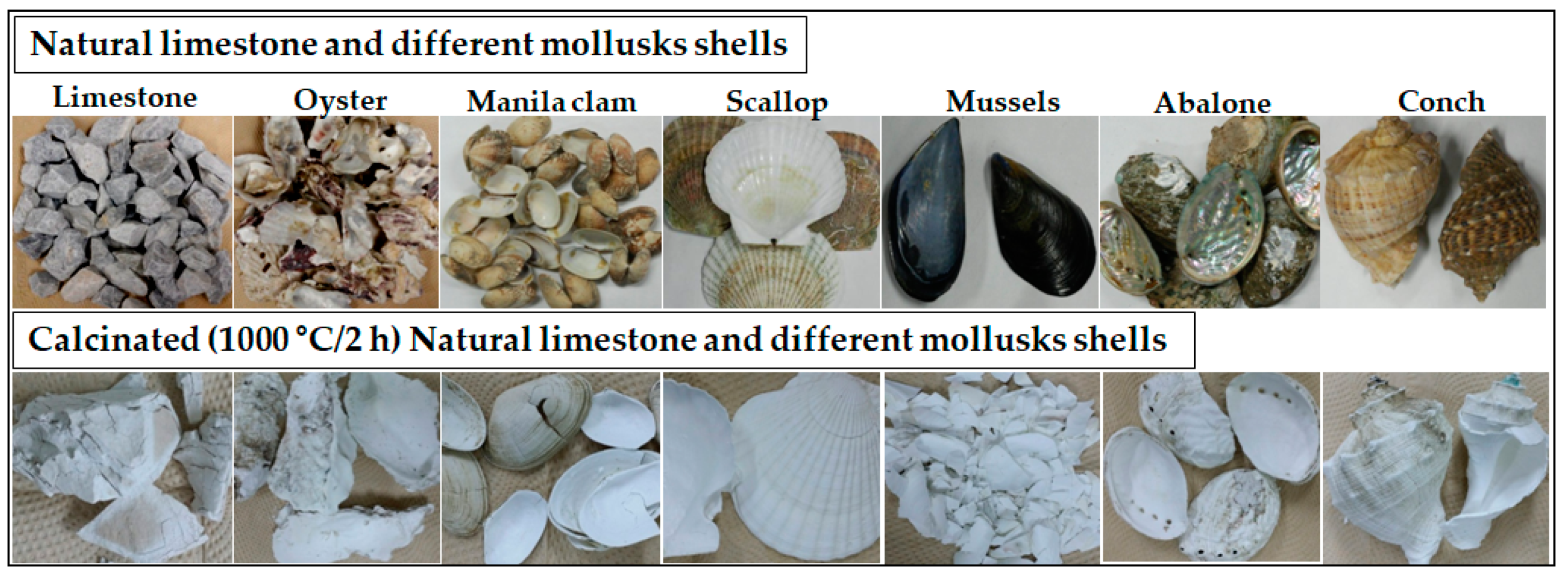 Recycling Free Full Text Sustainable Solutions For Oyster Shell   Recycling 04 00035 G003 