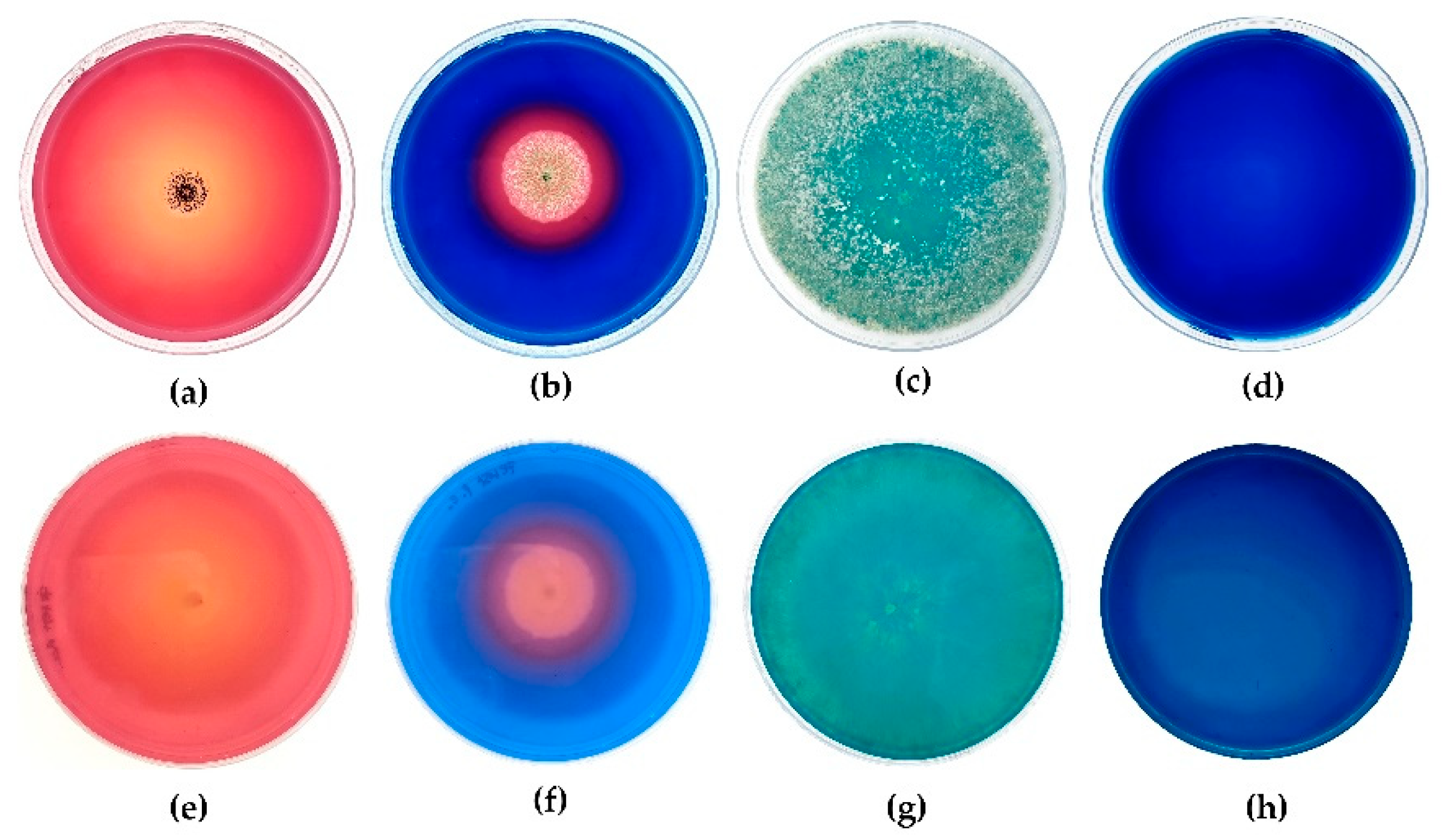 Recycling 07 00072 g001 Recycling 07 00072 g001