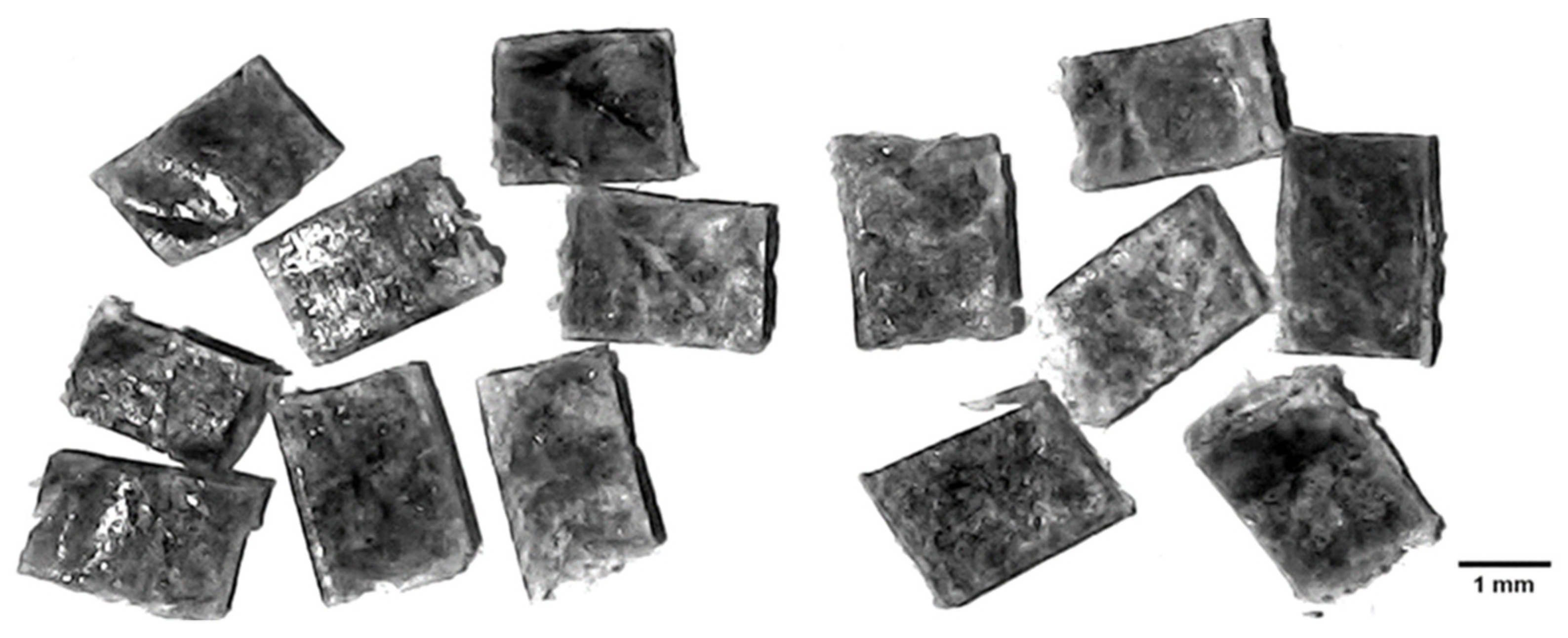 Recycling 07 00078 g001 Recycling 07 00078 g001