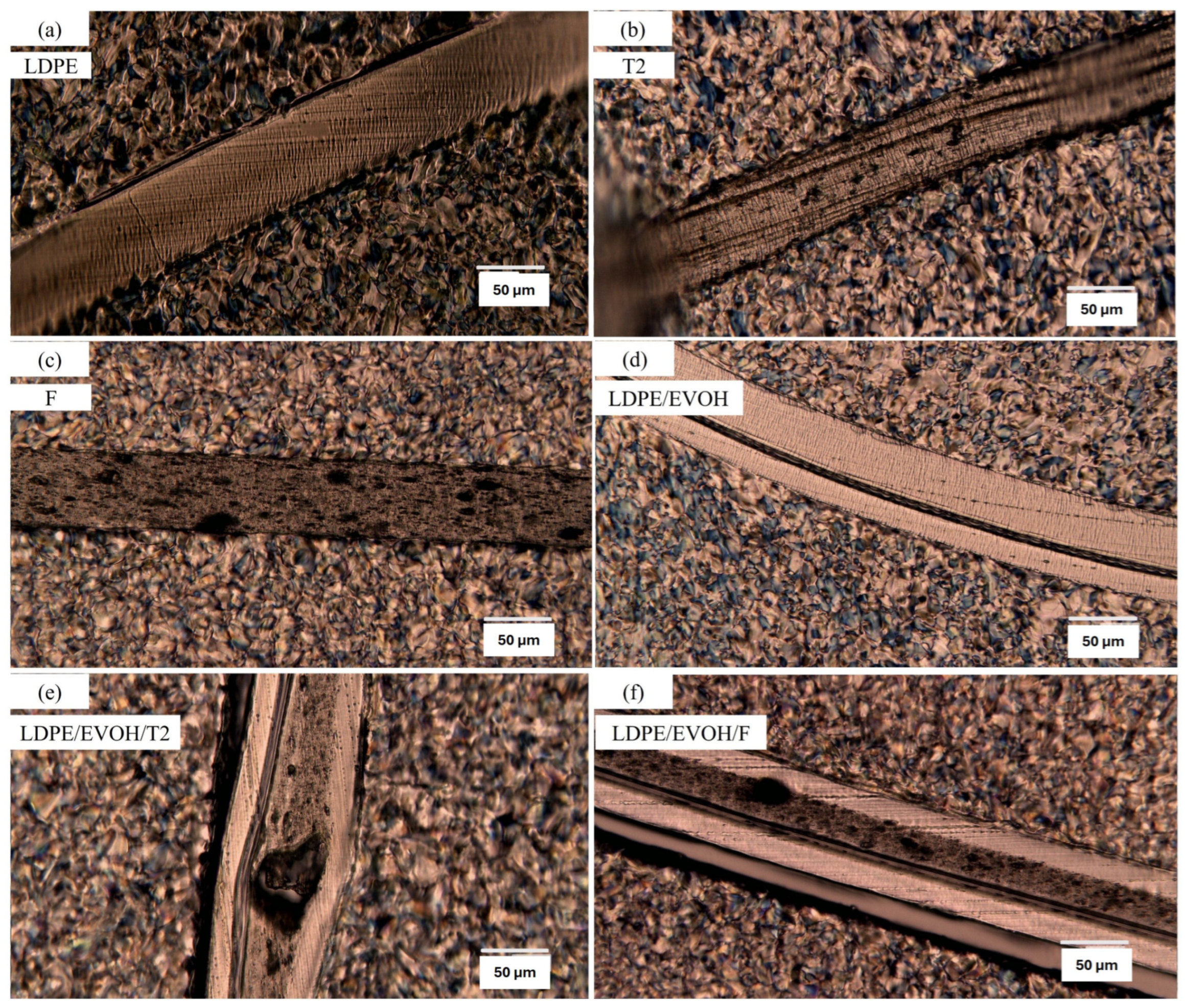 Recycling 09 00057 g002