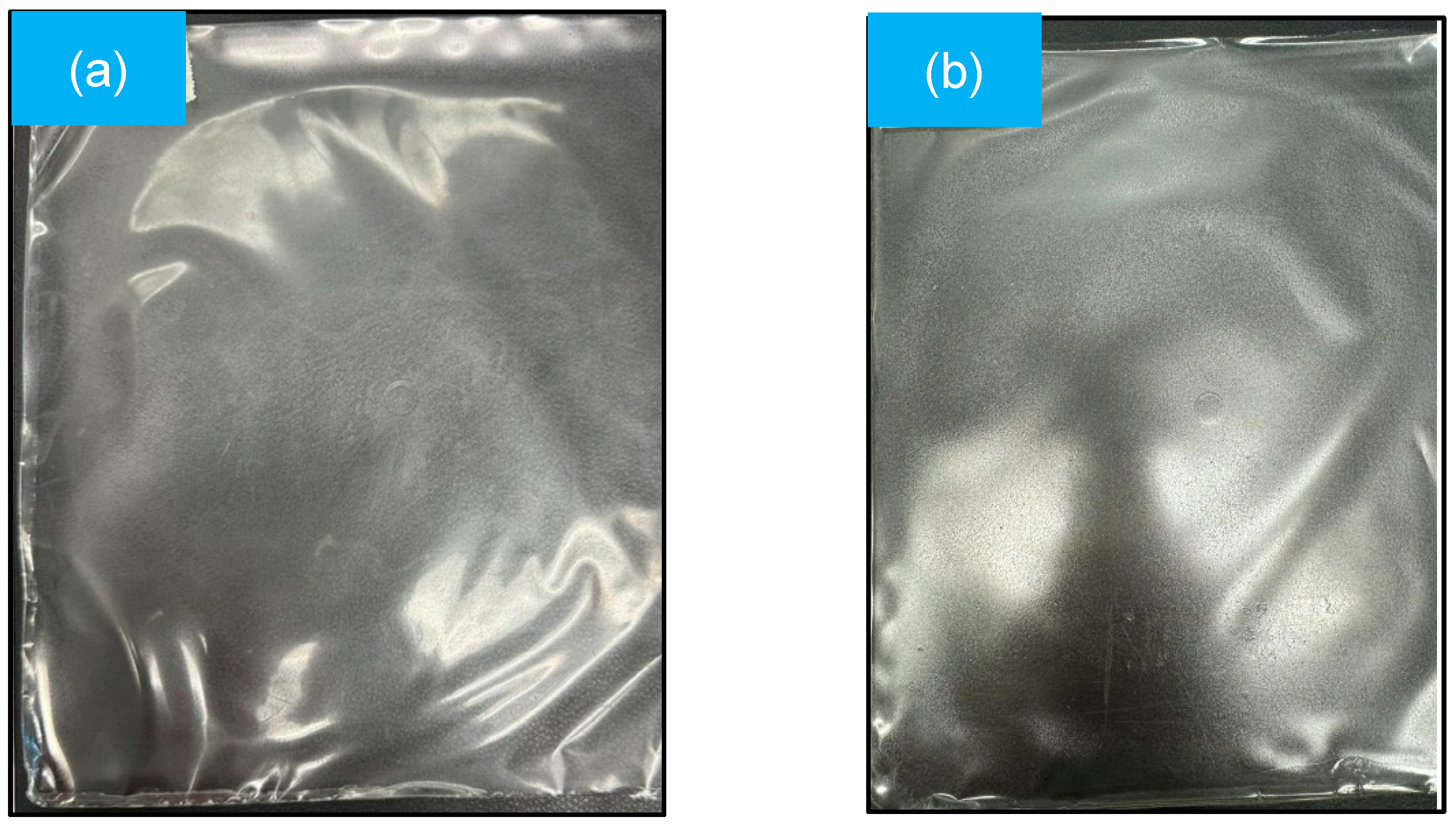 Recycling 09 00096 g001