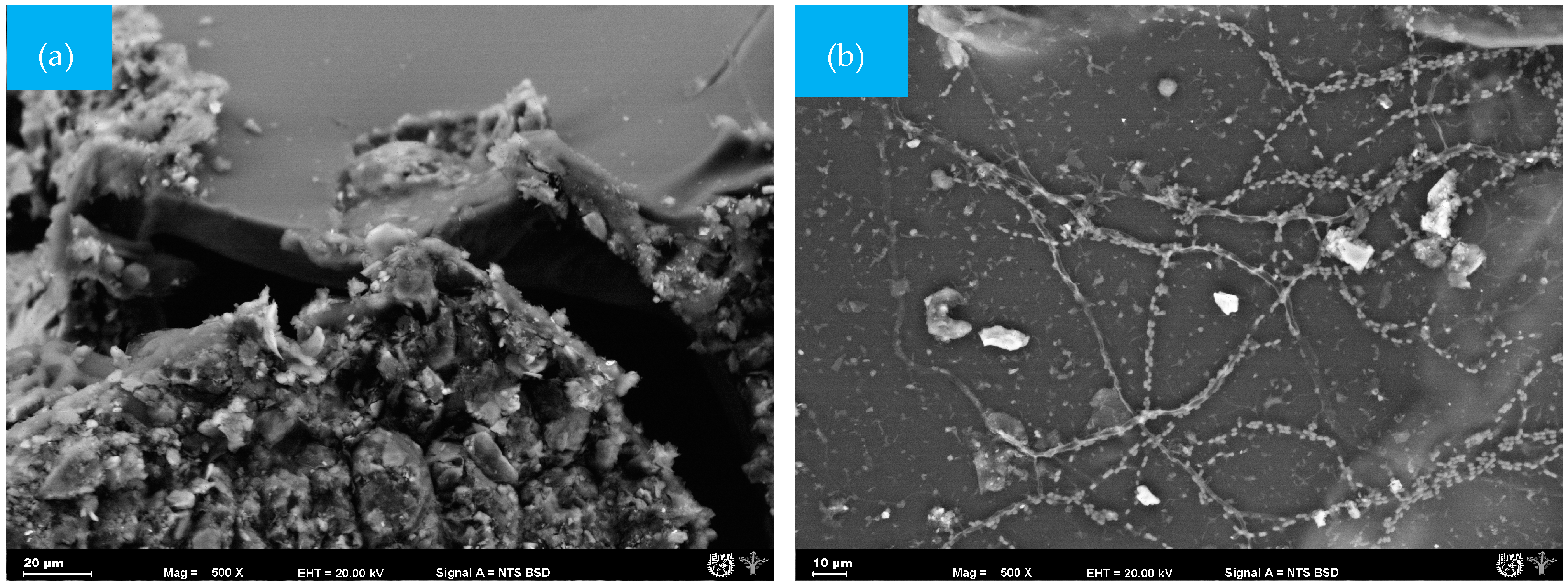 Recycling 09 00096 g005