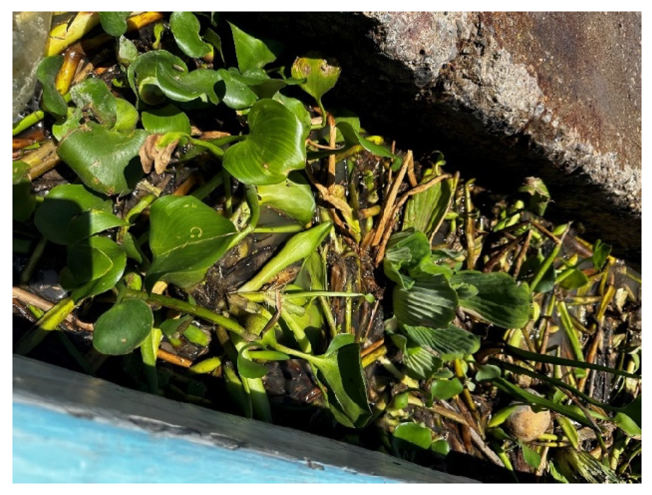 Recycling 10 00018 g001