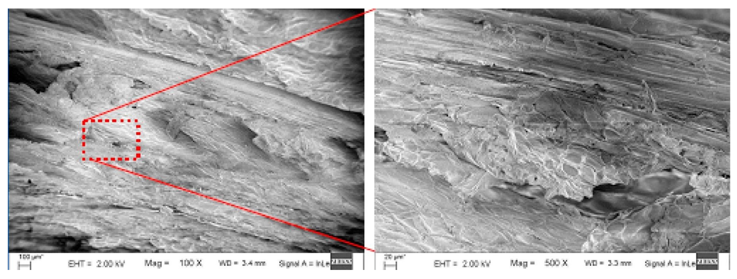 Recycling 10 00018 g004
