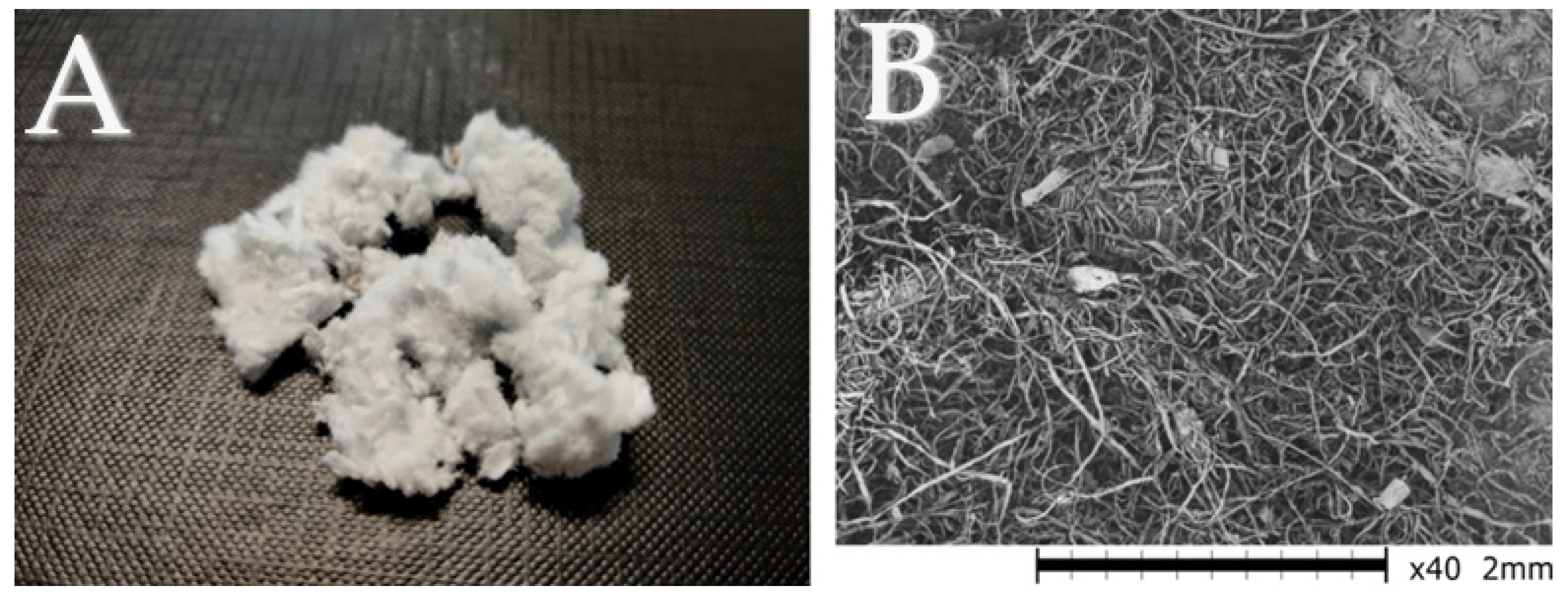 Recycling 10 00067 g001