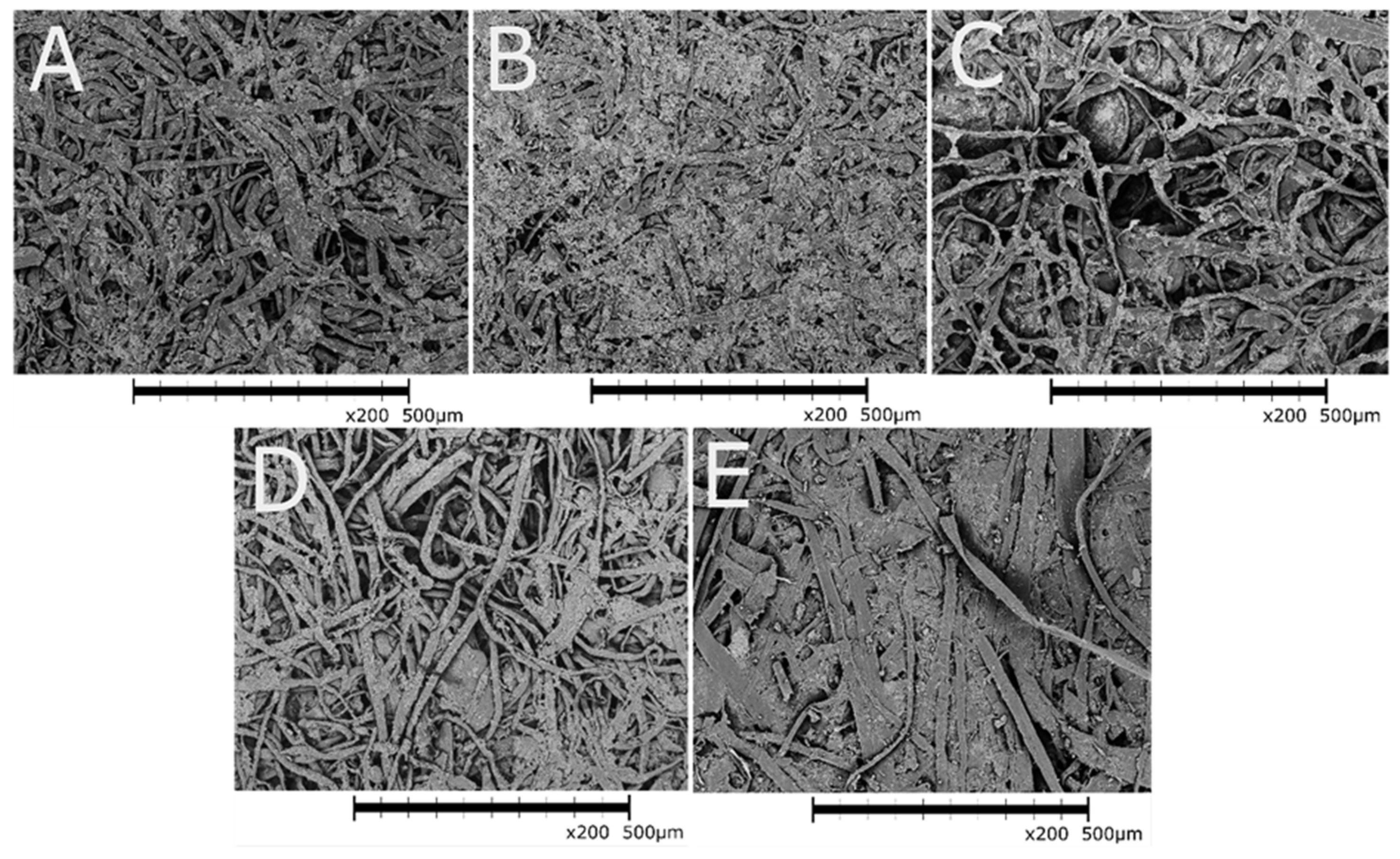 Recycling 10 00067 g003