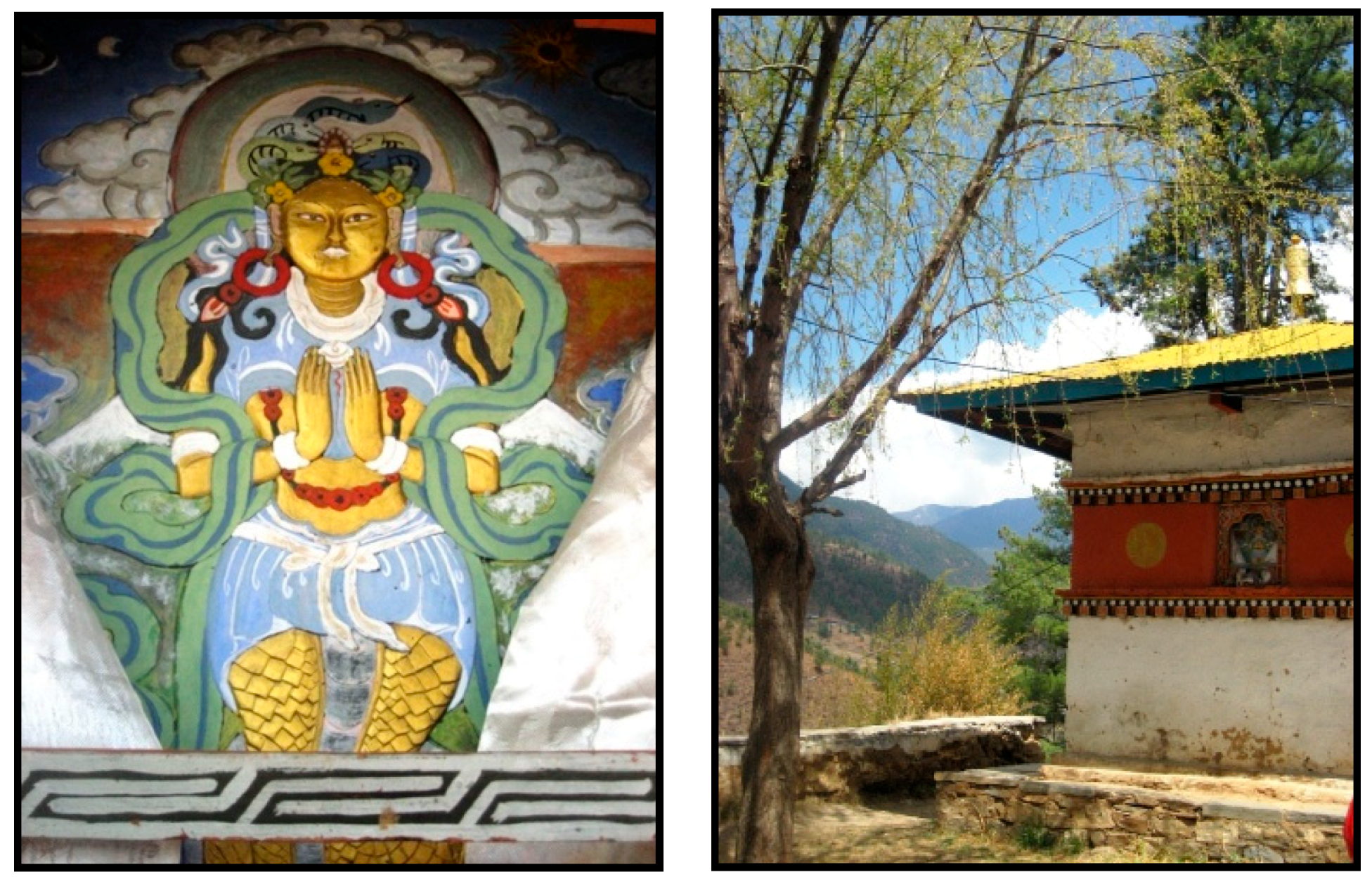 Religions Free Full-Text Deity Citadels Sacred Sites of Bio-Cultural Resistance and Resilience in Bhutan