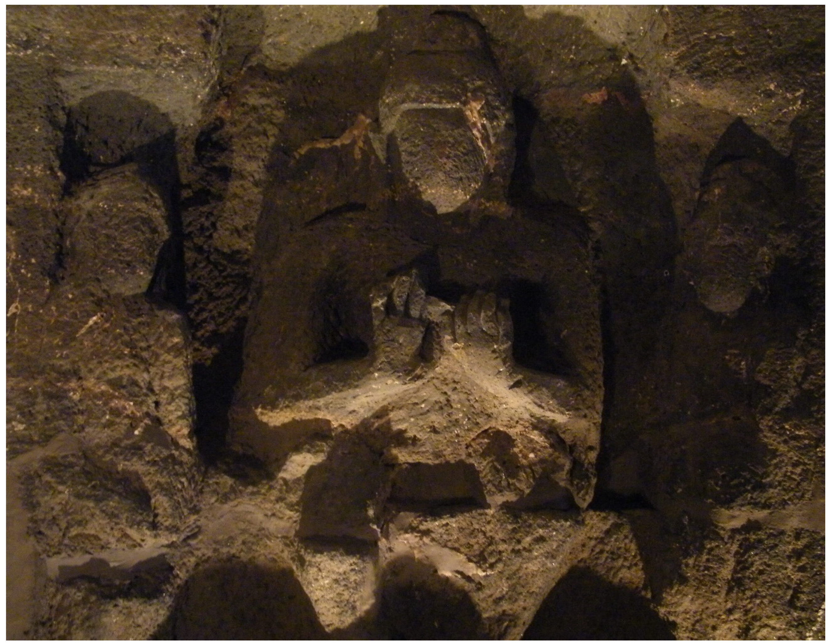 Religions 13 00771 g012