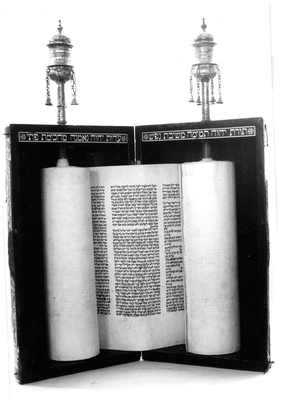 Recent Acquisition: Sefer Torah Scroll Fragments