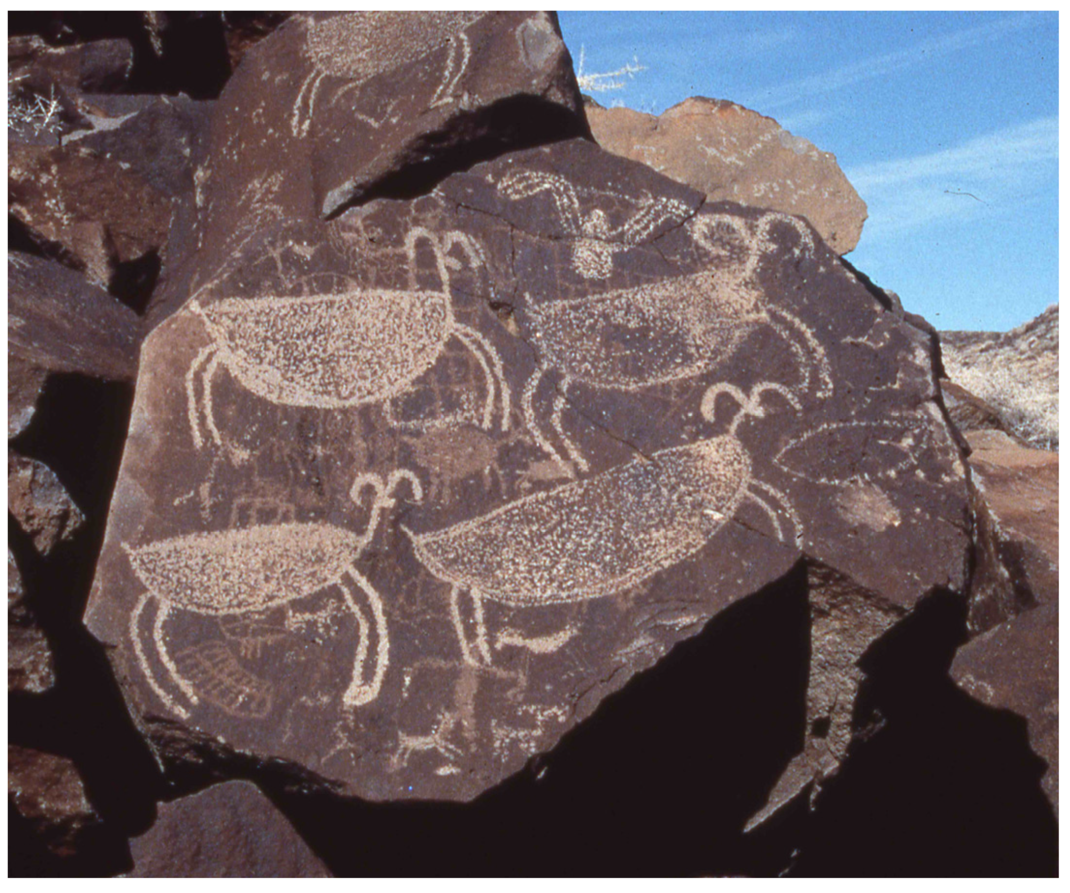 Religions 15 00123 g004