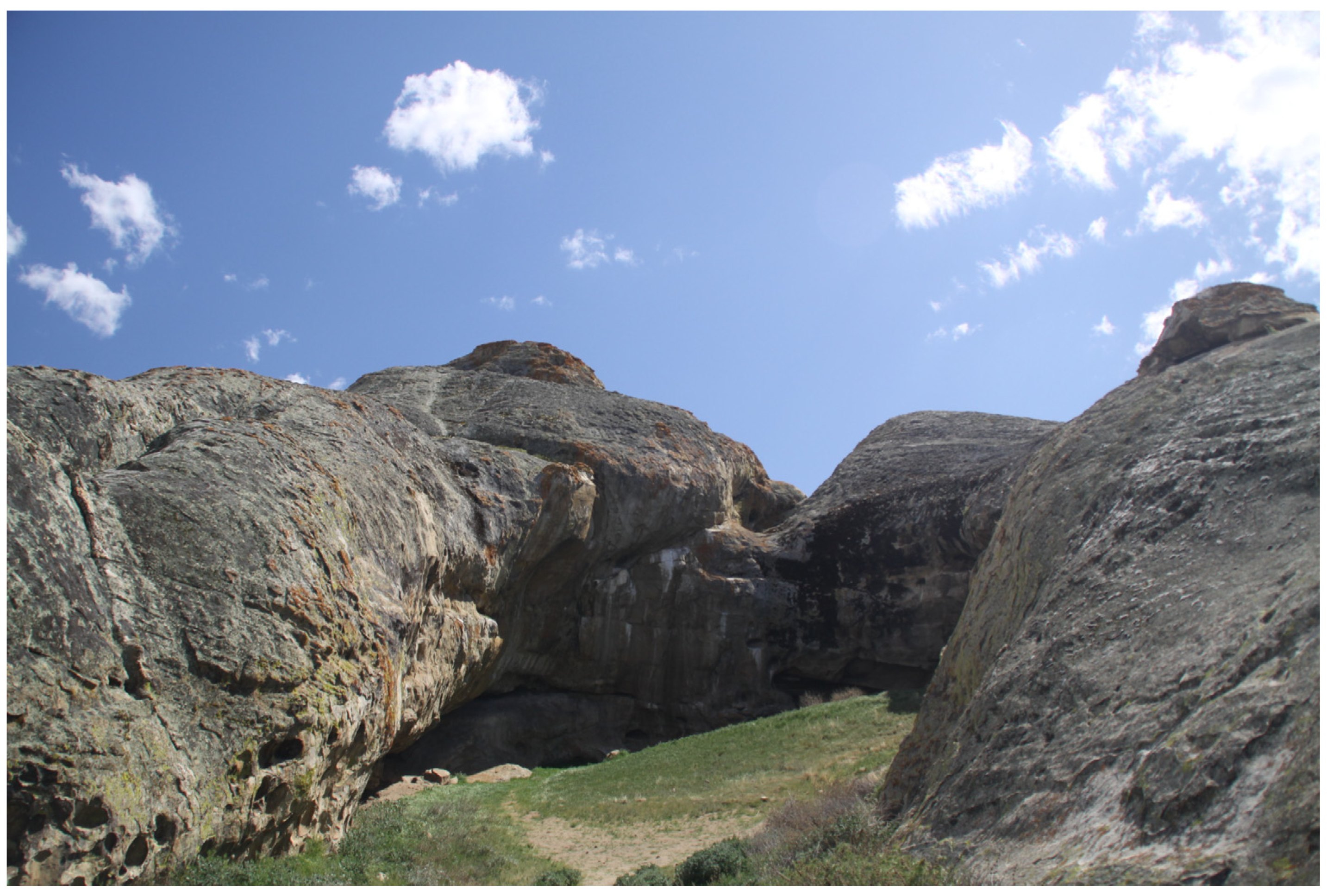 Religions 15 00123 g008