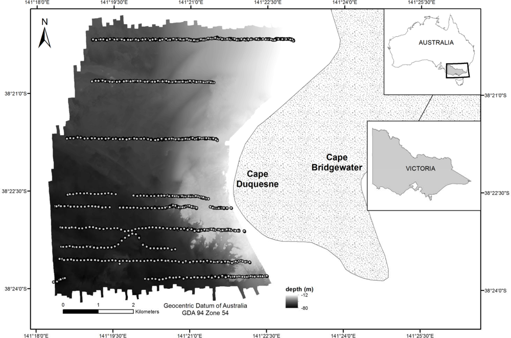 Remote Sensing | Free Full-Text | Evaluation of Four Supervised Learning  Methods for Benthic Habitat Mapping Using Backscatter from Multi-Beam Sonar  | HTML