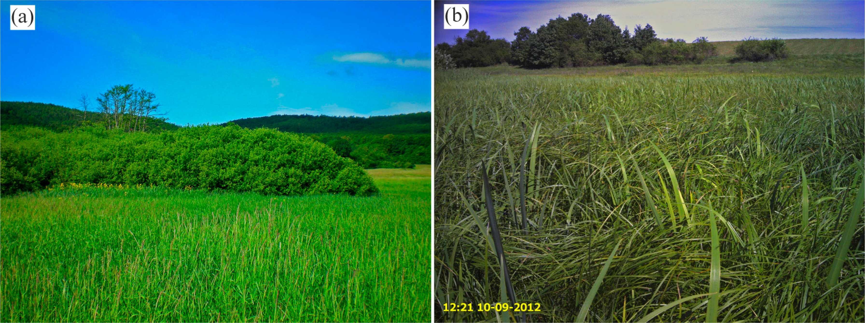 Remotesensing 06 08056f6 1024