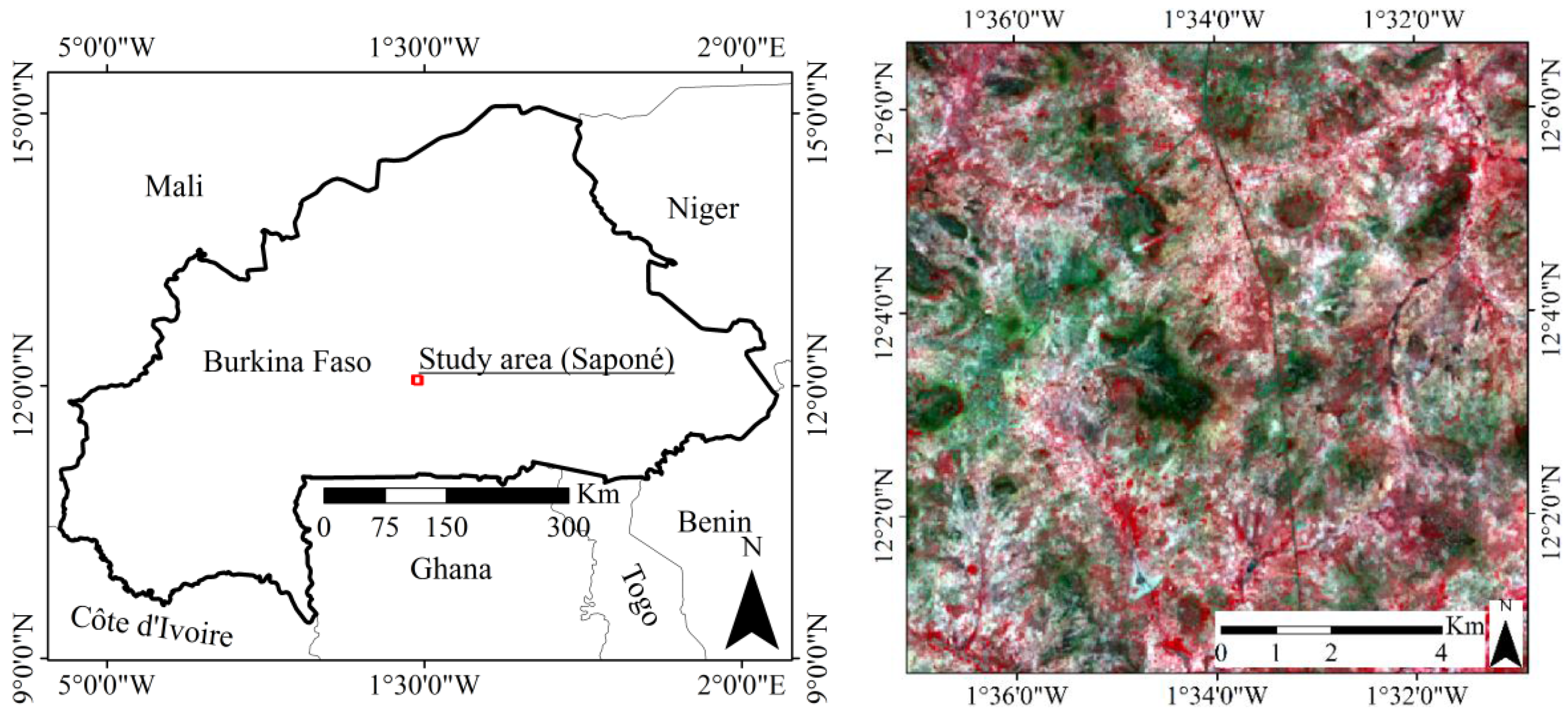 Remote Sensing | Free Full-Text | Mapping Tree Canopy Cover and Aboveground  Biomass in Sudano-Sahelian Woodlands Using Landsat 8 and Random Forest |  HTML
