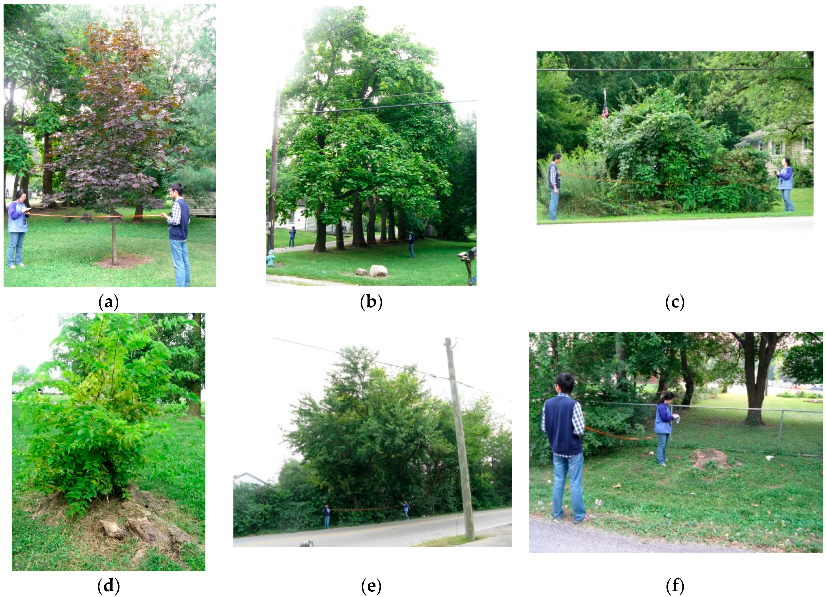 Remotesensing 08 00401 g007