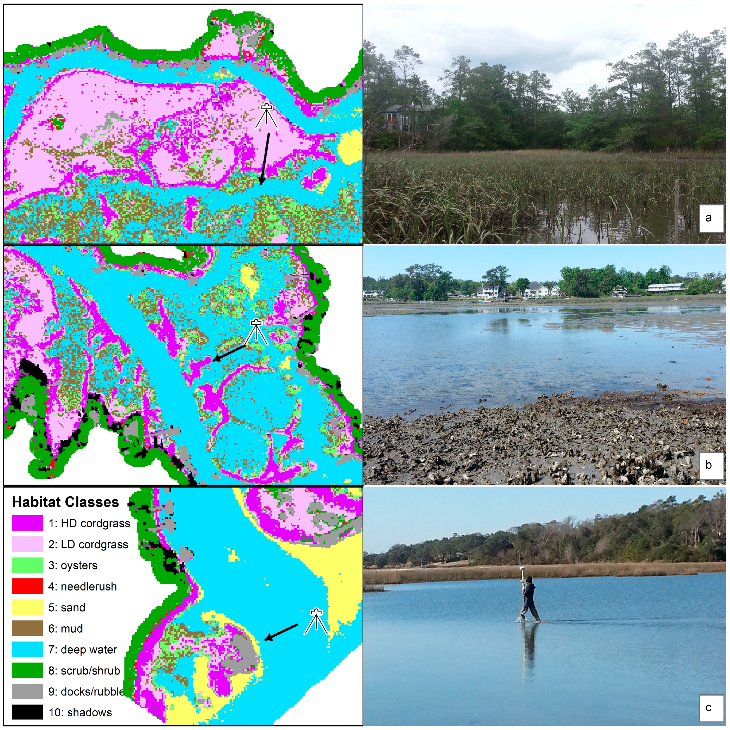 Remote Sensing | Free Full-Text | Submerged and Emergent Land Cover and  Bathymetric Mapping of Estuarine Habitats Using WorldView-2 and LiDAR  Imagery
