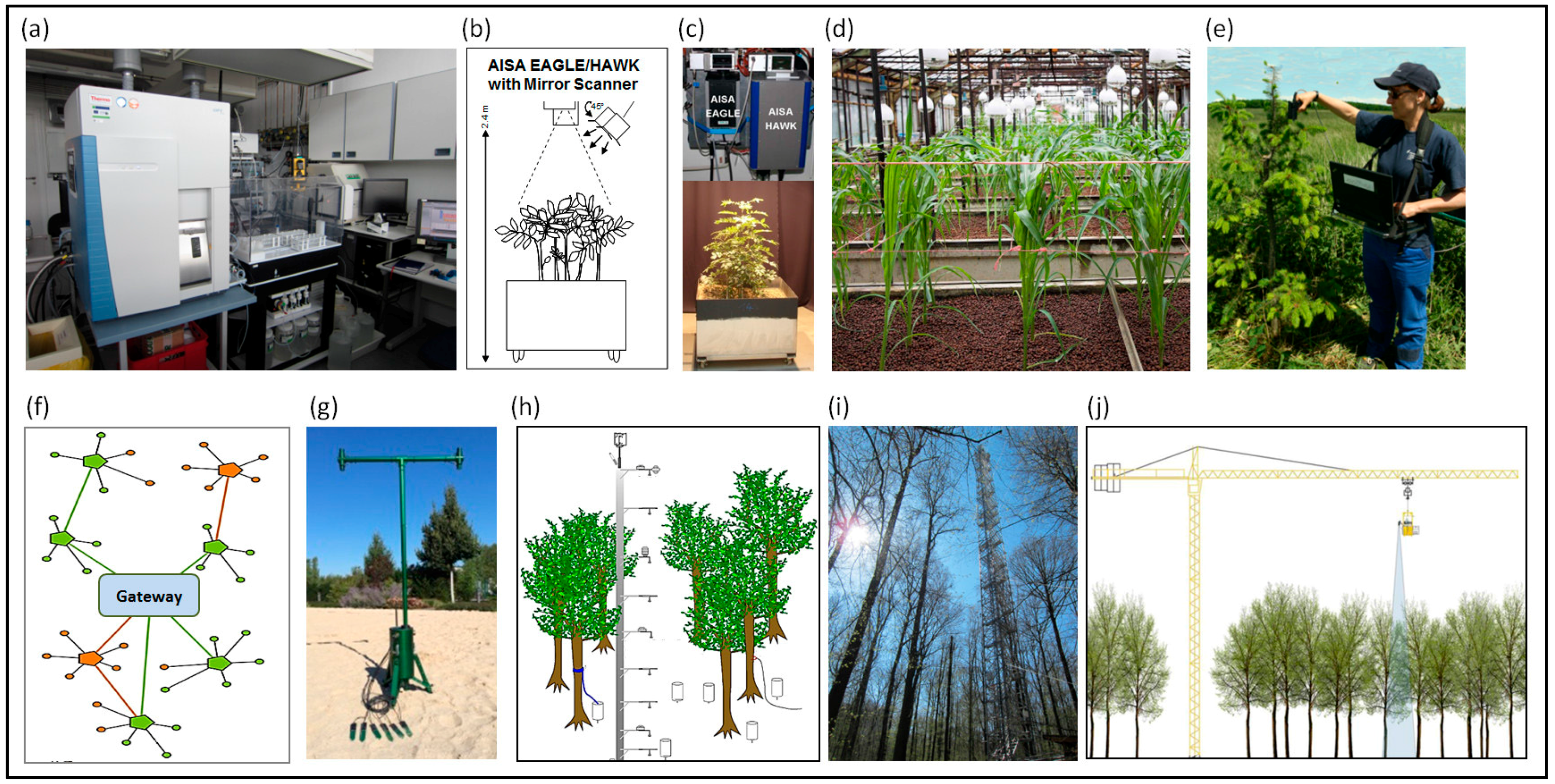 Remote Sensing | Free Full-Text | Understanding Forest Health with Remote  Sensing-Part II—A Review of Approaches and Data Models | HTML