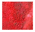 Remotesensing 09 00329 i003
