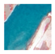 Remotesensing 09 00329 i008