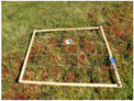 Remotesensing 09 00748 i004 Remotesensing 09 00748 i004