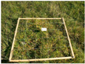 Remotesensing 09 00748 i005 Remotesensing 09 00748 i005