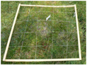 Remotesensing 09 00748 i007 Remotesensing 09 00748 i007