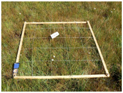 Remotesensing 09 00748 i008 Remotesensing 09 00748 i008