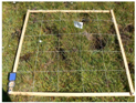 Remotesensing 09 00748 i010 Remotesensing 09 00748 i010