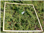 Remotesensing 09 00748 i012 Remotesensing 09 00748 i012