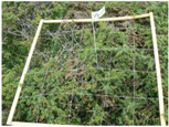Remotesensing 09 00748 i013 Remotesensing 09 00748 i013