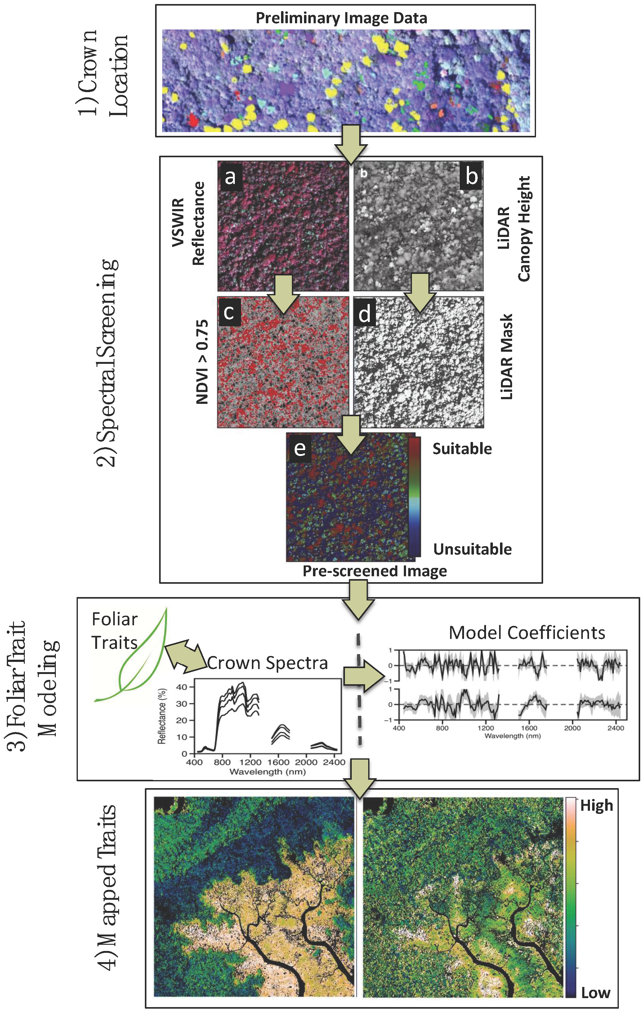 Remote Sensing | Free Full-Text | An Approach for Foliar Trait Retrieval  from Airborne Imaging Spectroscopy of Tropical Forests | HTML
