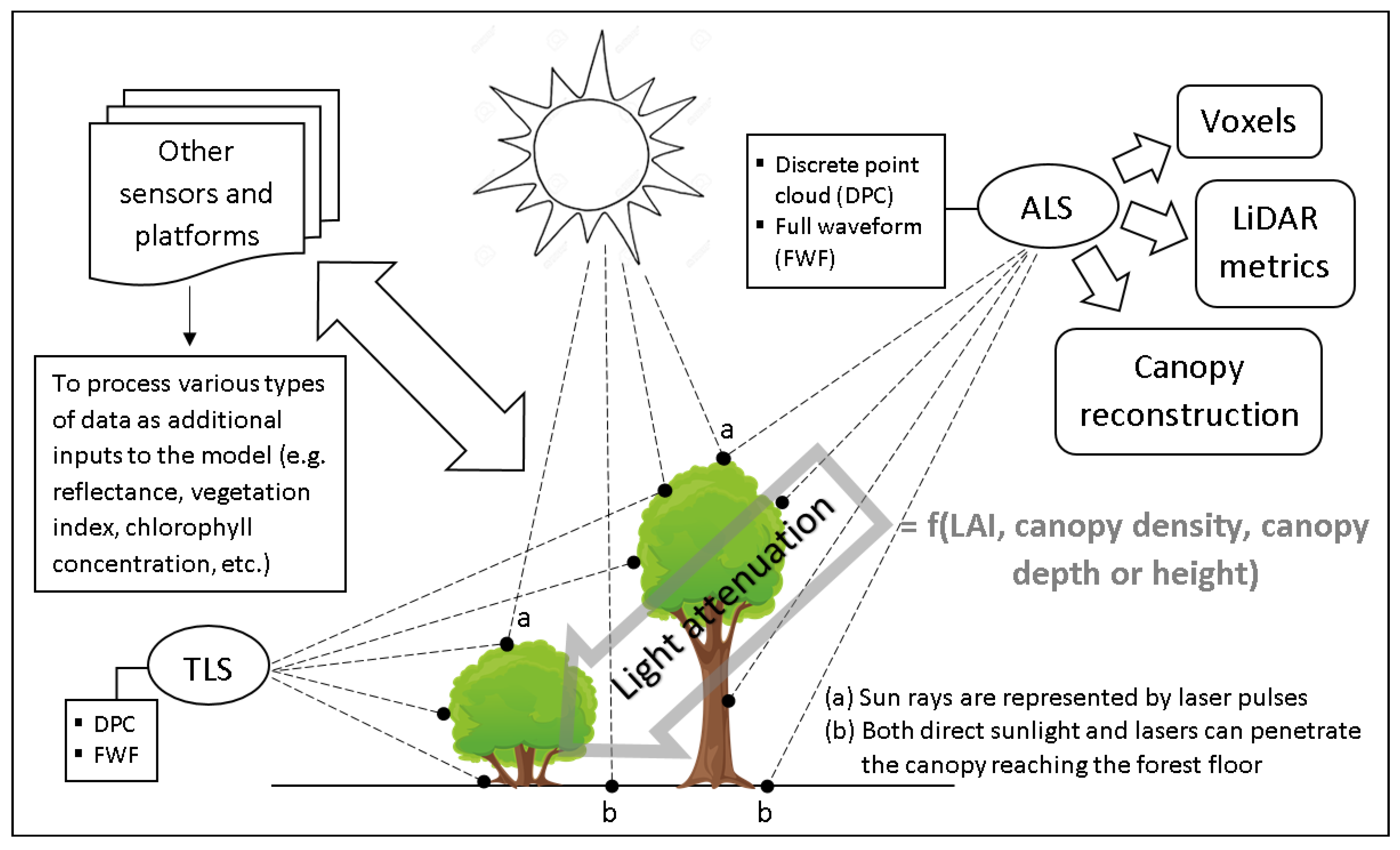 Remote Sensing | Free Full-Text | Modeling Solar Radiation in the Forest  Using Remote Sensing Data: A Review of Approaches and Opportunities | HTML