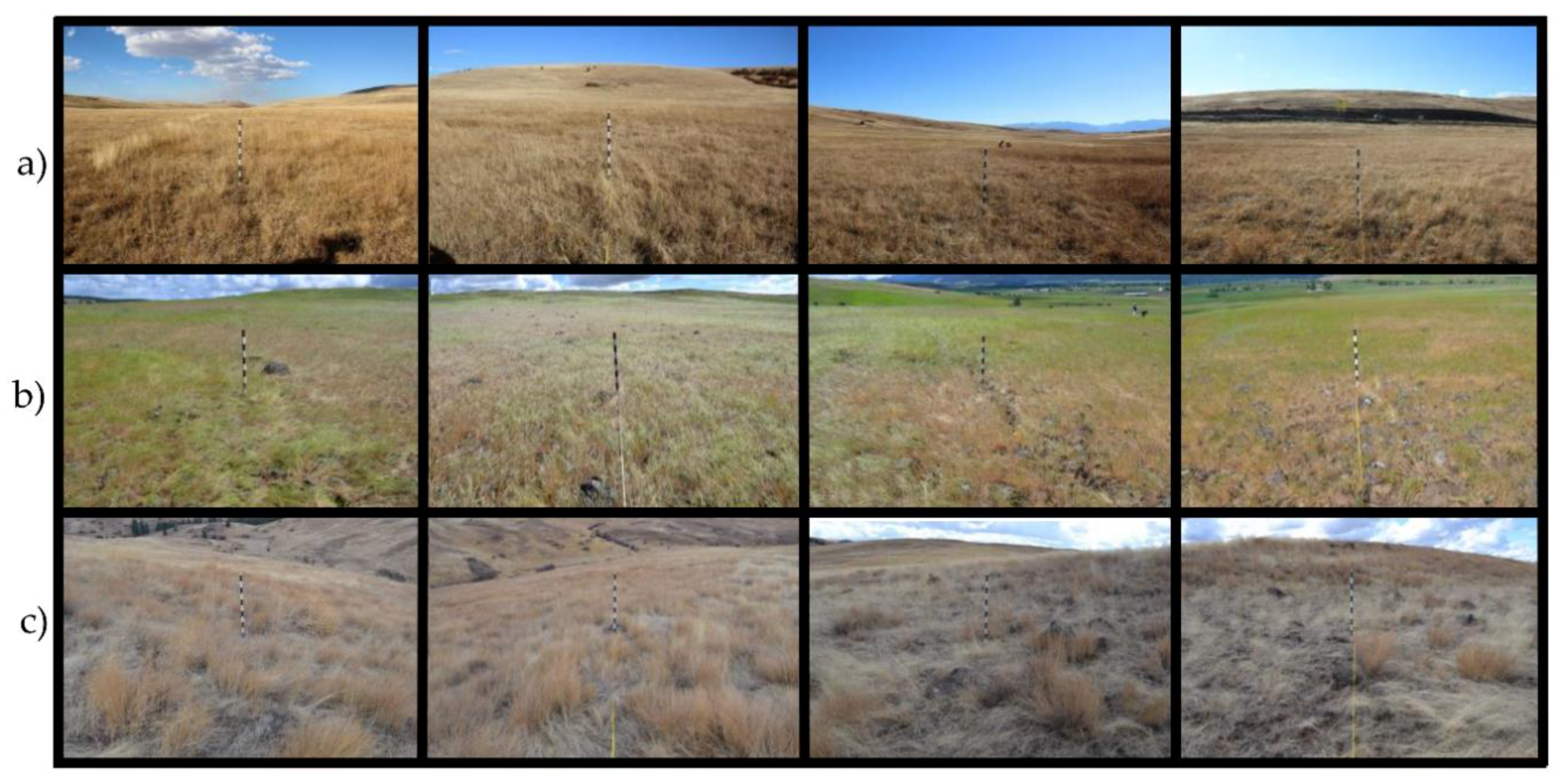 Remotesensing 10 01057 g008