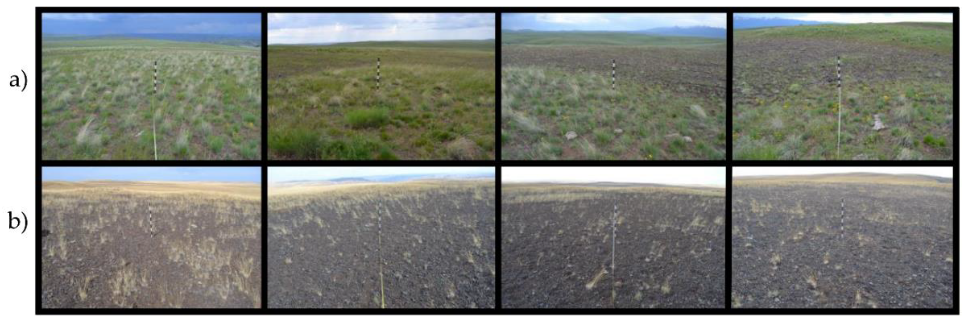 Remotesensing 10 01057 g009