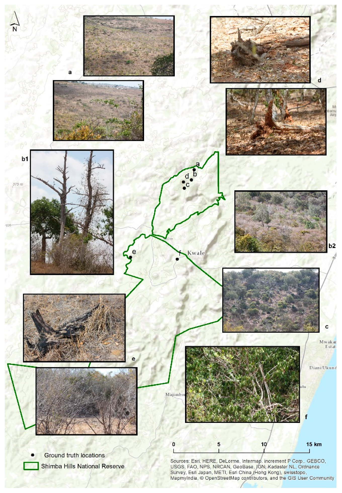 Remotesensing 10 01075 g008 Remotesensing 10 01075 g008