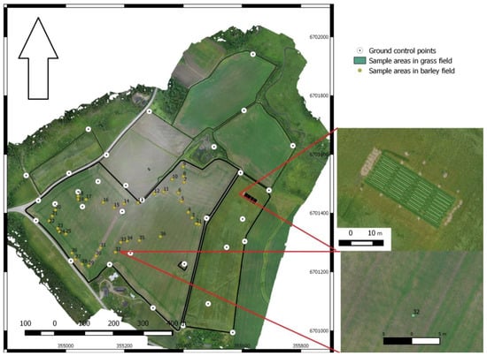 Remote Sensing Free Full Text Estimating Biomass And Nitrogen Amount Of Barley And Grass Using Uav And Aircraft Based Spectral And Photogrammetric 3d Features Html