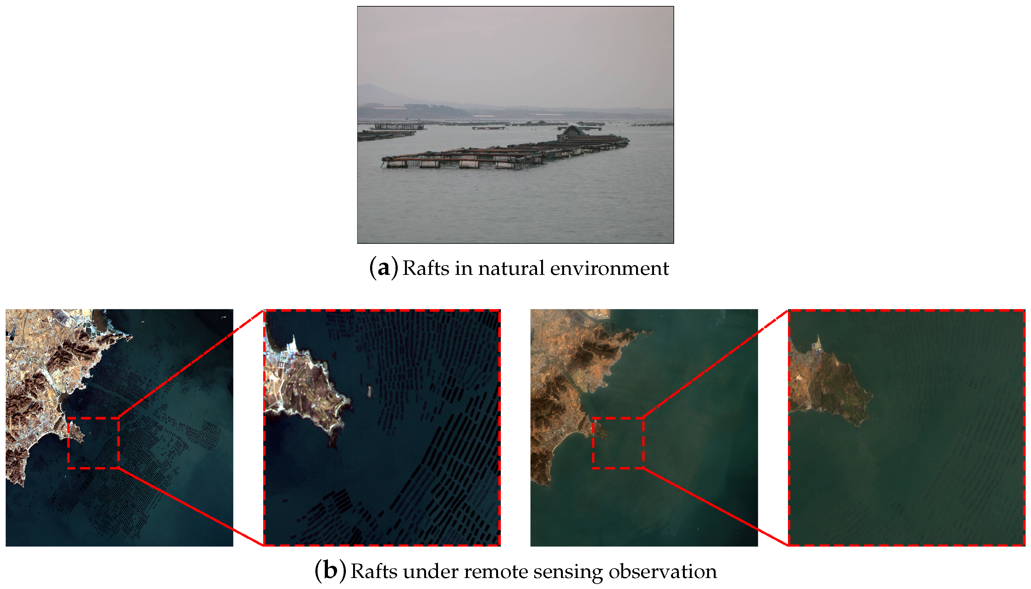 Remote Sensing | Free Full-Text | Automatic Raft Labeling for Remote  Sensing Images via Dual-Scale Homogeneous Convolutional Neural Network